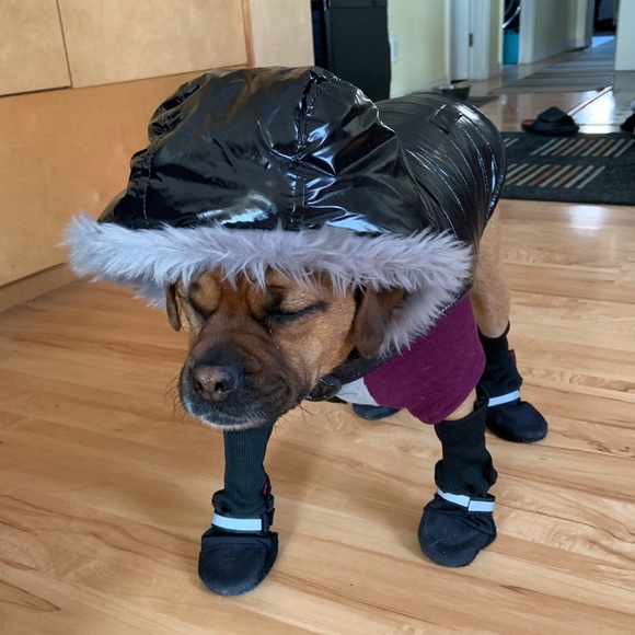 Meet your Posher, Sandyposh - Picture 2 of 2